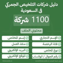 دليل شركات التلخيص الجمركي في السعودية – أكثر من 1100 شركة